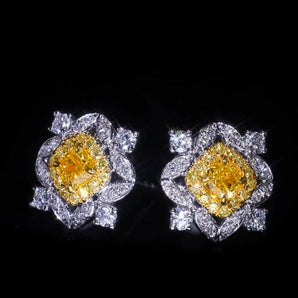 Fancy Diamond Jewelry Earrings