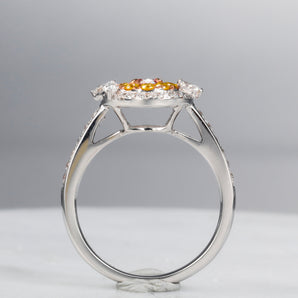 Fancy Diamond Jewelry Ring