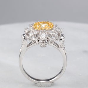 Fancy Diamond Jewelry Ring