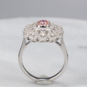 Fancy Diamond Jewelry Ring