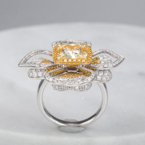 Fancy Diamond Jewelry Ring