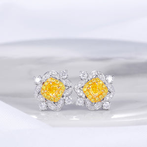 Fancy Diamond Jewelry Earrings